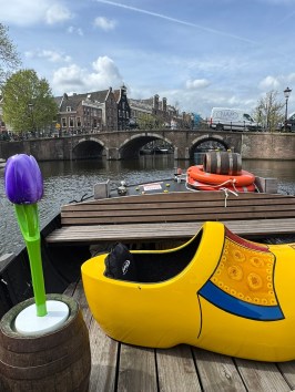 Yellow clog on boat with purple tulip in Amsterdam canal.