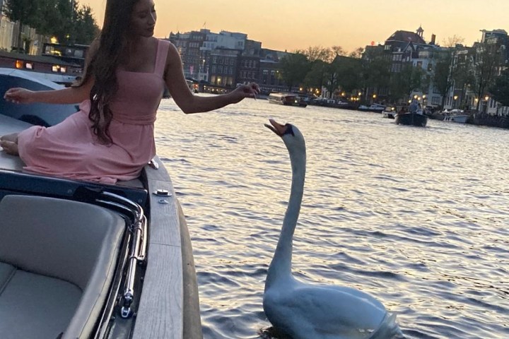 Woman in pink dress reaches out to swan from a boat on a river at sunset.